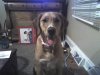 04-19-08_2143.jpg