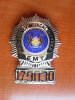 EMS Council Badge.jpg