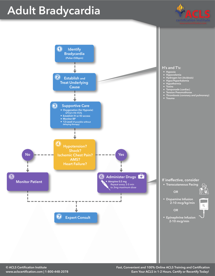 Algorithm-Bradycardia.png