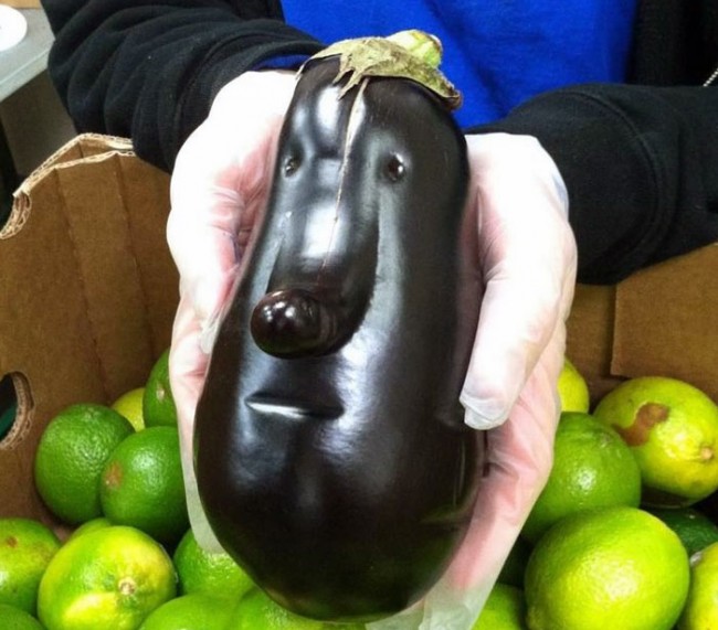eggplant-with-a-face.jpg
