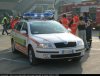 p1040916rt5.jpg