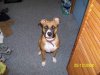 20090708_52.jpg