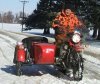 25895ural_snow_2.jpg