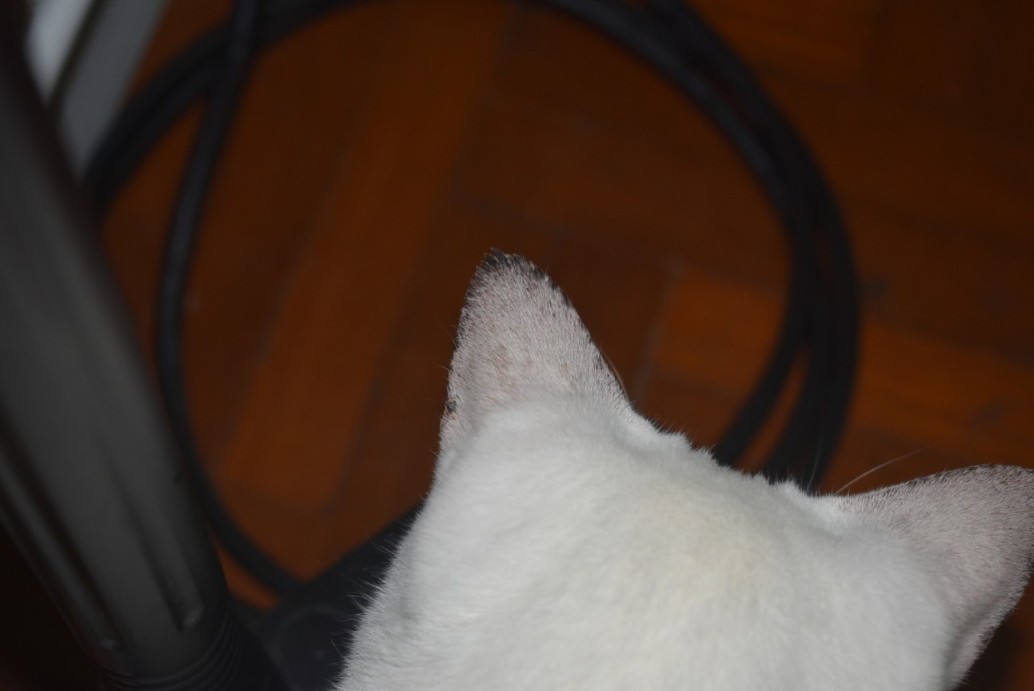 Hydrogen Peroxide EMTLIFE