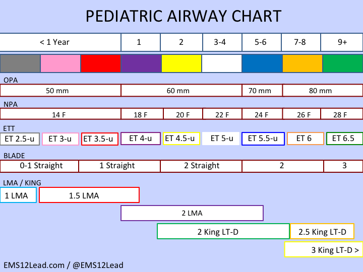 king-lt-airway-sizes