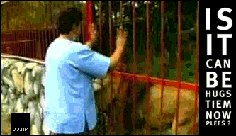 rawr.gif