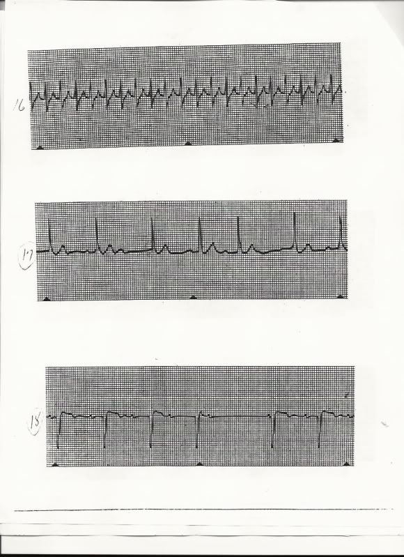 Strip1-3.jpg