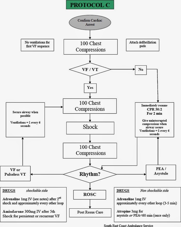 protocol-c.jpg