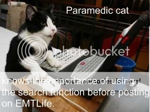 paramediccat.jpg