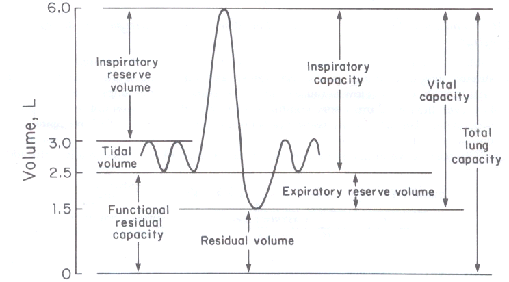 spirometry_diagram1.gif